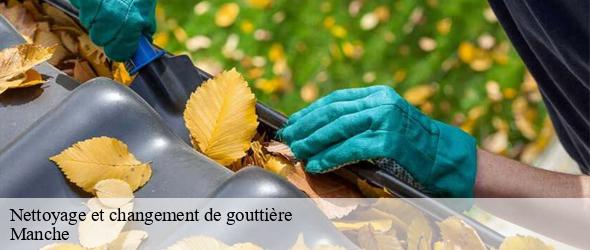 Nettoyage et changement de gouttière 