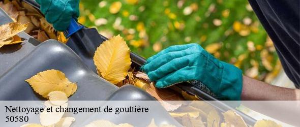 Nettoyage et changement de gouttière 