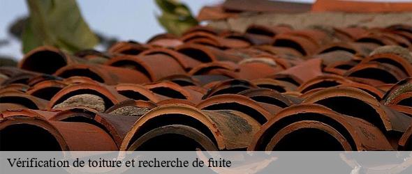 Vérification de toiture et recherche de fuite