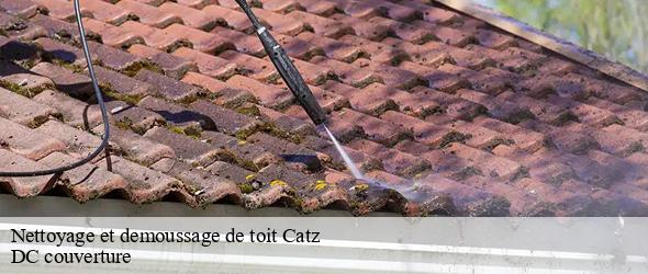 Nettoyage et demoussage de toit