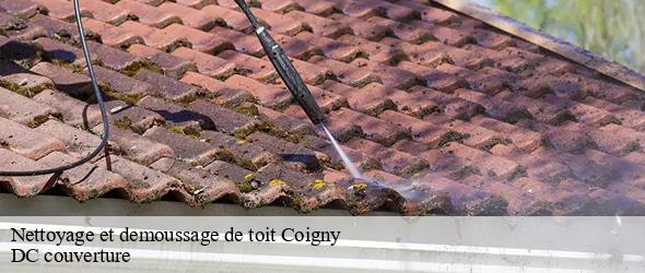 Nettoyage et demoussage de toit