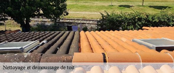 Nettoyage et demoussage de toit