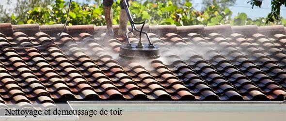 Nettoyage et demoussage de toit