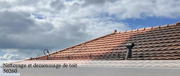 Nettoyage et demoussage de toit